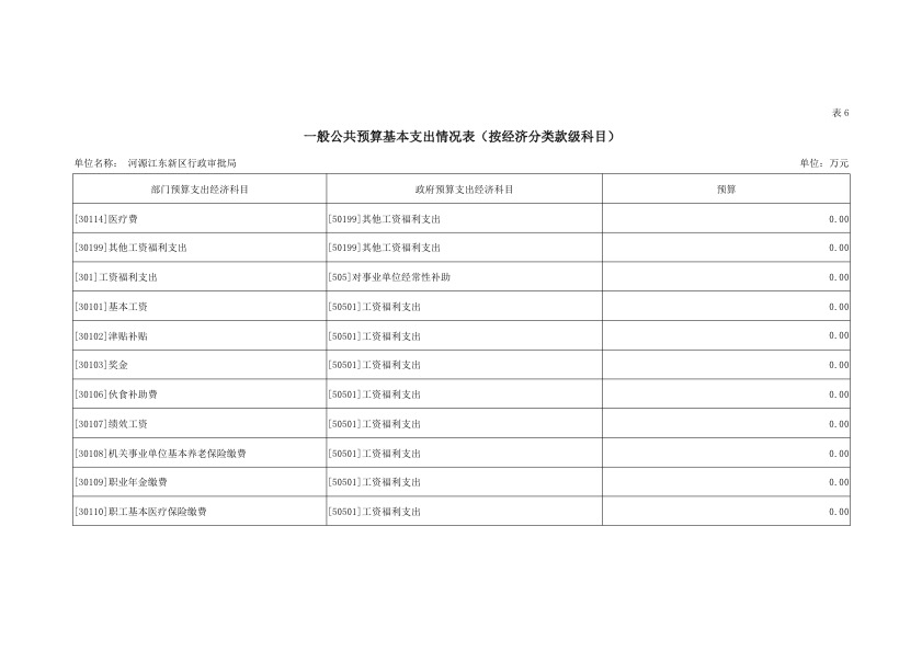 河源江东新区行政审批局2019年部门预算公开报告 19.jpeg