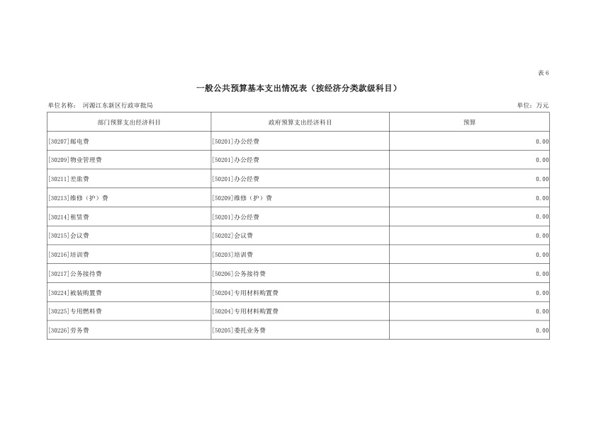 河源江东新区行政审批局2019年部门预算公开报告 21.jpeg
