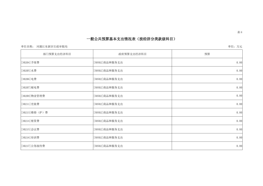河源江东新区行政审批局2019年部门预算公开报告 23.jpeg