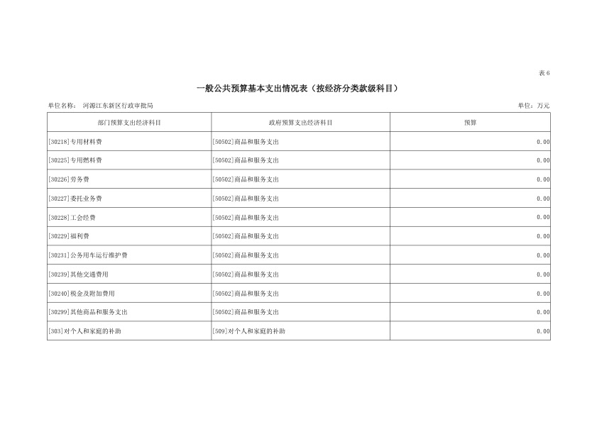 河源江东新区行政审批局2019年部门预算公开报告 24.jpeg