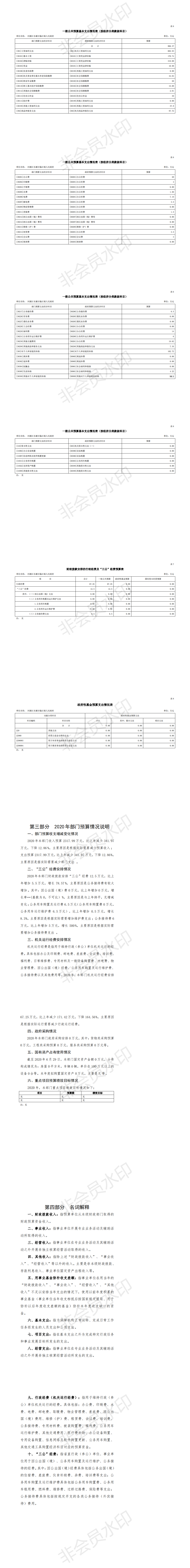 2020年河源江东新区临江镇人民政府部门预算_1.png