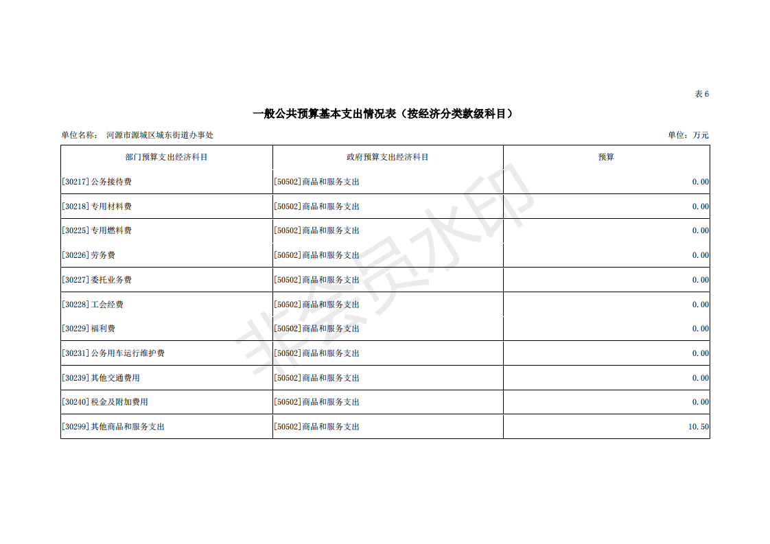 2019年河源江东新区城东街道办事处部门预算 (1)_29.png