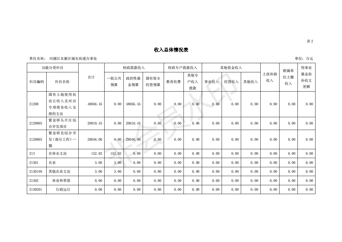 2020年河源江东新区城东街道办事处部门预算_10.png