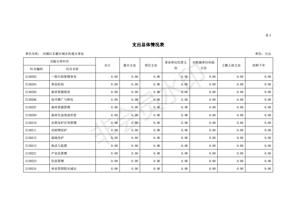 2020年河源江东新区城东街道办事处部门预算_16.png