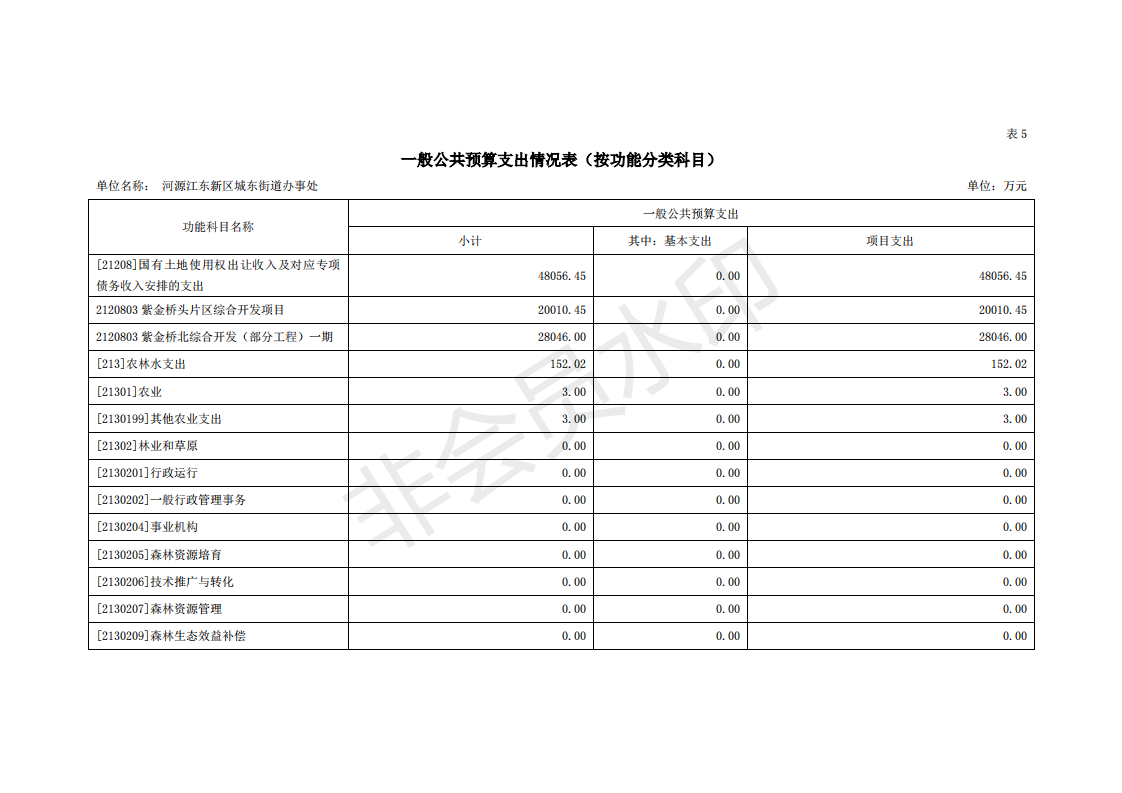 2020年河源江东新区城东街道办事处部门预算_22.png