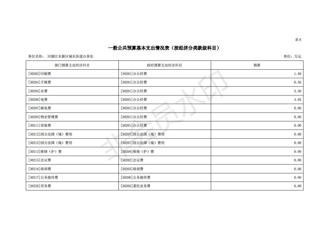 2020年河源江东新区城东街道办事处部门预算_25.png