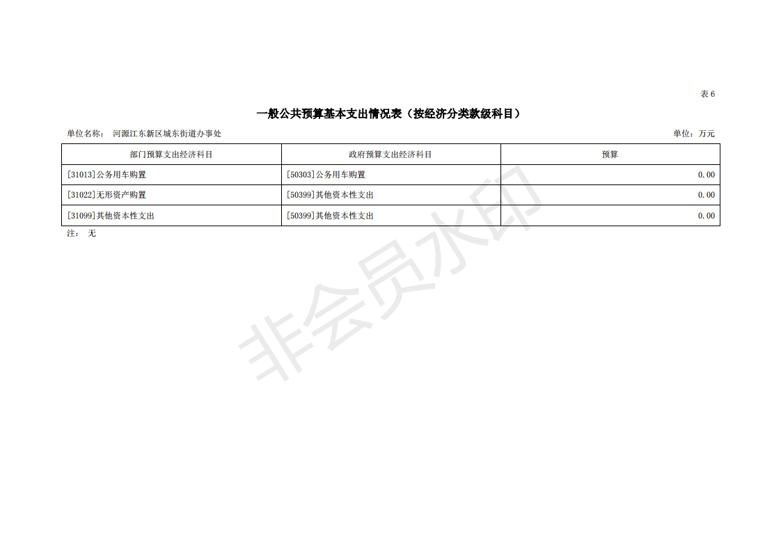 2020年河源江东新区城东街道办事处部门预算_27.png