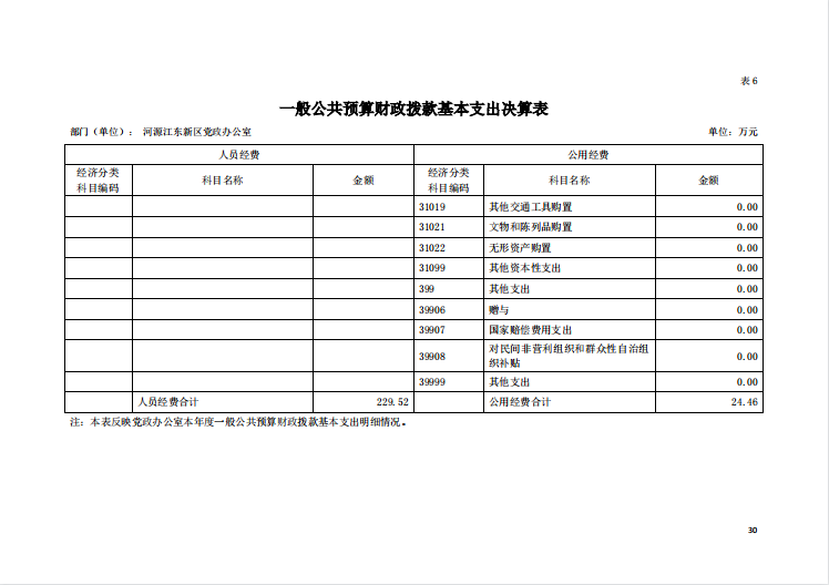 2020年河源江东新区党政办公室部门决算—30.png