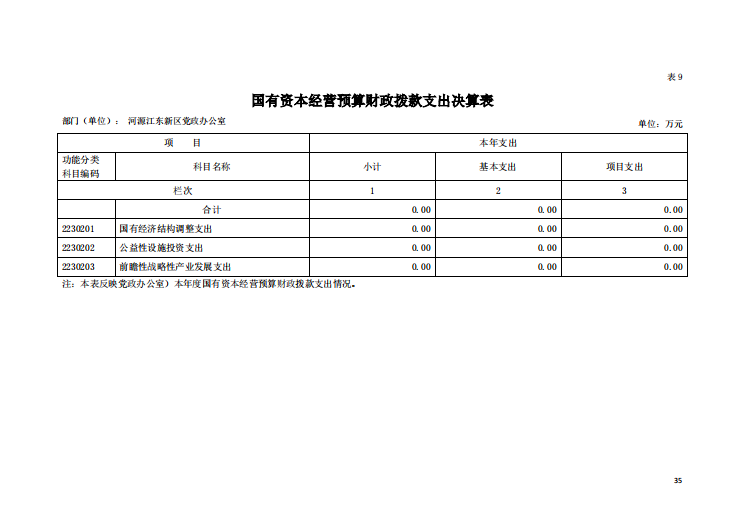 2020年河源江东新区党政办公室部门决算—35.png