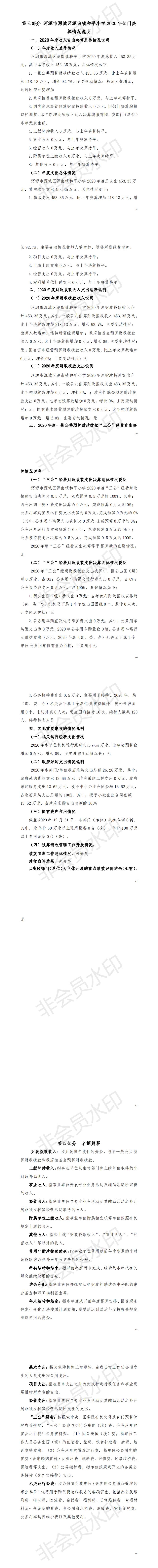 2020年河源市源城区源南镇和平小学部门决算_01.jpg