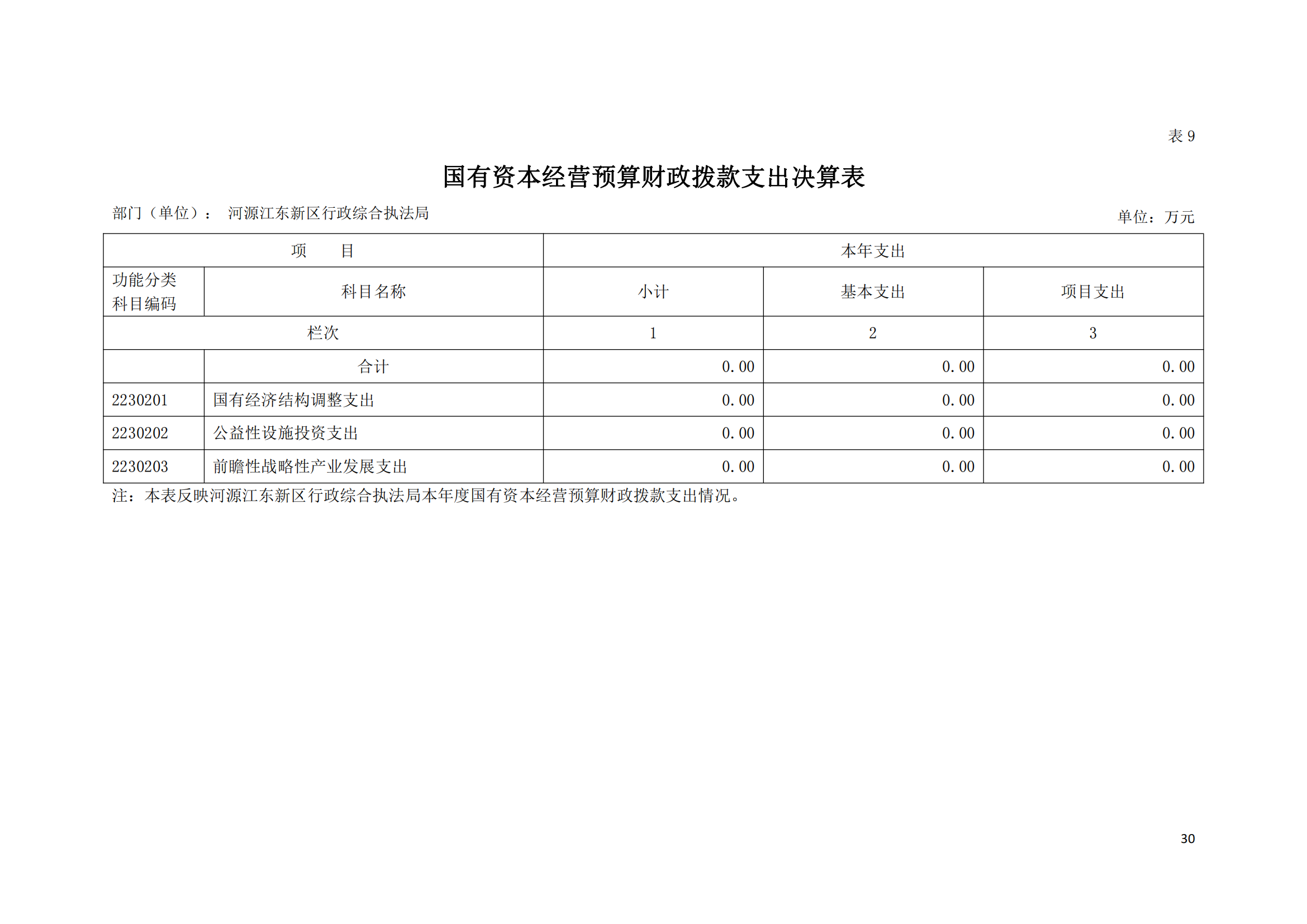 2020年河源江东新区行政综合执法局部门决算公开数据填报模板(1)_29.png