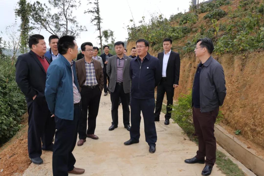 江东新区党委书记孔德胜到临江镇调研